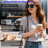 Lunettes de traduction intelligentes SENBONO M89, prennent en charge la traduction vocale par IA, l'enregistrement HD 2MP, lunettes intelligentes avec caméra