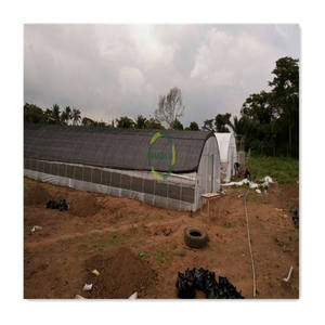 Structure Serre Per Balcone Tunnel Tete Metallique Agricoles 12X6 En Ferro Culture Champignon Mobile Agricole <span class=keywords><strong>Serres</strong></span>-Livres - Product Image 6