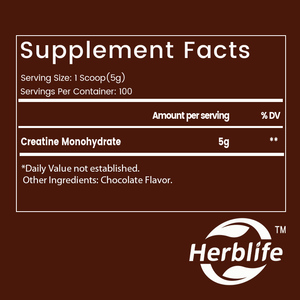Ventes chaudes OEM/ODM, poudre de créatine monohydratée personnalisée pour adultes, croissance musculaire, 500 g par sachet, saveur chocolat - Product Image 4