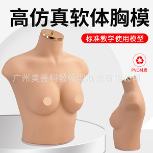 Accessoires pour vitrines de lingerie et soutiens-gorge et pour la photographie : Mannequin féminin en silicone souple et réaliste, demi-corps, poitrine 75B/C - Product Image 3