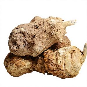 Poudre d'Ubi <span class=keywords><strong>Jaga</strong></span> soluble dans l'eau à prix d'usine – Extrait de Ubi <span class=keywords><strong>Jaga</strong></span> en poudre – Offre spéciale - Product Image 3