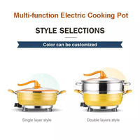 Cuiseur à vapeur électrique marmite de cuisson électrique polyvalente poêle électrique marmite chinoise 32cm
