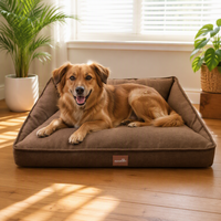 Lit pour chien et chat personnalisé 76x63x29 cm, rembourrage en coton doux et soyeux, bord surélevé en polaire Teddy, housse non amovible, OEM/ODM acceptés