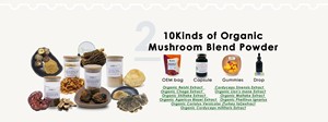 Aogubio cung cấp bổ sung sức khỏe sư tử bờm/Reishi/Chaga/Thổ Nhĩ Kỳ đuôi/Shiitake Hữu Cơ nấm chiết xuất bột pha trộn - Product Image 2