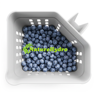 Ember Pemetik Blueberry Persegi Panjang Mudah Digunakan dengan Pegangan dan Ventilasi