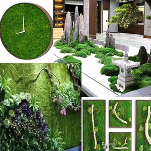 Material de pared de musgo verde preservado Dream Castle, 1 metro cuadrado, para decoración de interiores - Product Image 5