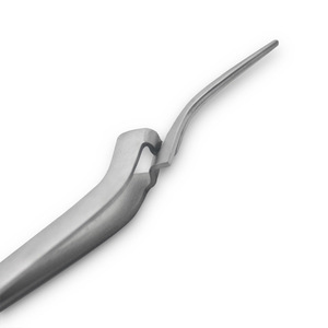 Pinces à papier dentaire pour empreintes, pinces à papier dentaire courbées, pinces de maintien pour empreintes, pinces dentaires en acier inoxydable - Product Image 2
