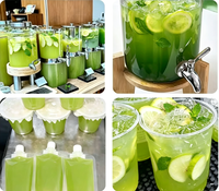 Poudre de jus de pomme verte en gros, boisson instantanée en poudre aux fruits, emballage de 1 kg pour les salons de thé au lait