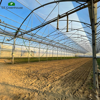 Serre tunnel commerciale économique GT avec couverture en film plastique, serre tunnel à arche gothique