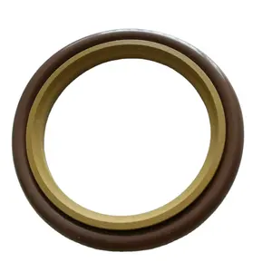 Cilindro idraulico guarnizioni pistone Spgo pistone poliuretano Glyd anello
