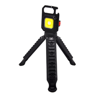 EDC Mini lampe de poche COB portable 500 lumens multifonction 4 modes d'éclairage Porte-clés de poche en alliage d'aluminium Bouteille lumineuse rechargeable