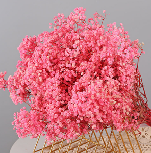 Vĩnh Cửu Gypsophila hoa khô bó hoa đường phố gian hàng tự làm vật liệu cho ngày của mẹ và quà tặng phục sinh bán buôn - Product Image 5