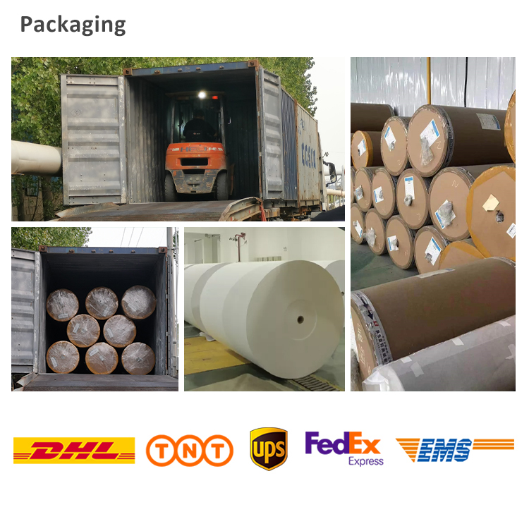 ba<i></i>se Paper ProProfessio<i></i>nal Manufacture Decorative ba<i></i>se Paper For Melamine Impregnated Paper