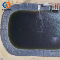 Lámina/Película de Polietileno UV Negra para Revestimiento de Estanques de 1 mm, 1.5 mm, 2 mm, Geomembranas con Recubrimiento de Polietileno para Proyectos