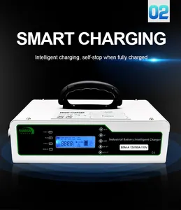 Portable Industry Lithium Battery Charger Module 110V AC To DC 12V 24V 48V Battery Chargers