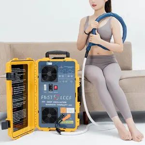 Professional Painless Pemf Pulsed Magnetic Therapy China Pmst Double Loop Pemf Pain Relirf Healthy Device