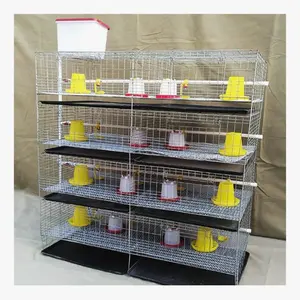 Cheap price type H Poultry Farm brooder Cage feeding equipment system For sale in Ghana