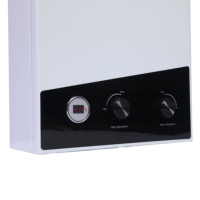 Chauffe-eau à gaz sans réservoir OEM/ODM pour usine 10/12/16/18/20/24, chauffe-eau instantané au gaz GPL