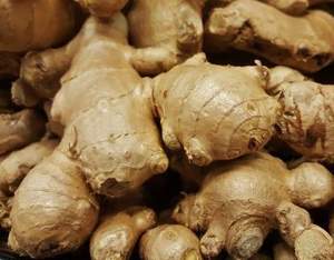 Aceite Esencial Puro de Jengibre y Árbol de Té de la India de Alta Calidad, Destilado al Vapor, Fabricante y Proveedor OEM ODM para Exportación a Granel - Product Image 6