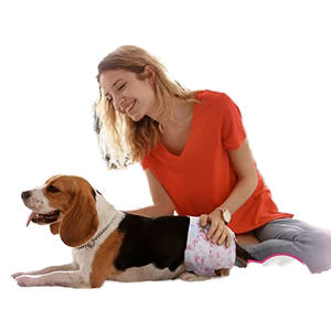 Fabricante al por mayor <span class=keywords><strong>pañales</strong></span> desechables para perros y <span class=keywords><strong>gatos</strong></span> súper absorbentes a prueba de fugas de tela suave envolturas para pantalones - Product Image 3