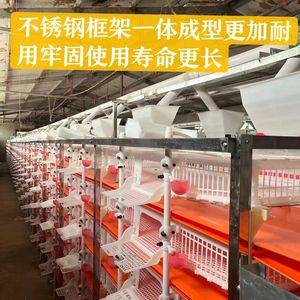 Yaygın ihracat istikrarlı kuş kafesleri 300 quaquaHJ-X500 için paslanmaz çelik bıldırcın kafesi - Product Image 5