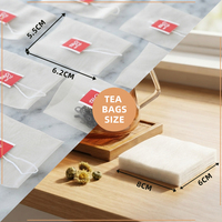Sachets de thé réutilisables en nylon biodégradable, en fibre de maïs et acide polylactique, avec cordon de serrage, personnalisables avec logo, pour emballage réutilisable imprimé