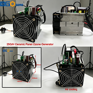 Générateur d'<span class=keywords><strong>ozone</strong></span> industriel 25g/h à panneau céramique pour décapage <span class=keywords><strong>de</strong></span> photo-résine et gravure à basse température, élimination des circuits Cu/Al durcis, garantie 1 an - Product Image 6