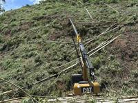 Grue forestière longue portée XUVOL 25m 28m, flèche télescopique forestière pour excavatrice de 13 à 20 tonnes, grappin à bois pour exploitation forestière en pente et sur collines