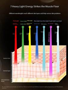 Meilleur prix mise à niveau puissante de la machine de soin du visage avec brume faciale avec système intelligent 5G - Product Image 2