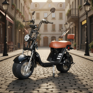 Motocicleta Todoterreno Usada de 1500W, Negra, 72V, con Motor sin Escobillas, 45km/h, Modelo EU Zhejiang China - Product Image 1