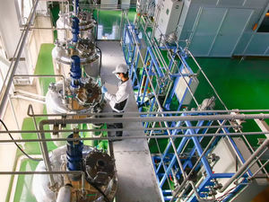 Vente en gros de fibres diététiques zéro calorie additif alimentaire en poudre intestin thé gâteau ingrédients de cuisson supplément pour les aliments sains - Product Image 3