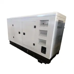 50KVA WEICHAI WP2.3D48E200 Silent box diesel generator set for russian market