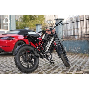 Vélo électrique CE EcoRide V10 en stock – Fatbike électrique tout-terrain pas cher avec pneus larges de 20 pouces – Vélo électrique directement de l'usine - Product Image 4