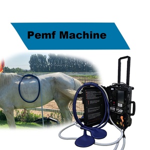Máquina PEMF de Alta Potencia para Caballos con Doble Control para Relajar los Músculos Tensados y Aliviar el Estrés Físico - Product Image 1