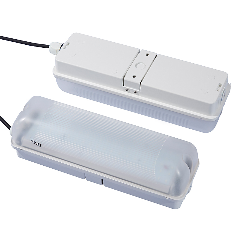 Anti-UV Industrial Emergency LED Lamp,IP65 Dustproof Waterproof,IK10 Anti-impact,Manual Auto Test,CE CB Wall Ceiling Mount