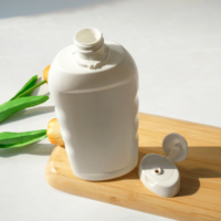 Bouteille de shampooing en plastique à presser de lotion cosmétique en HDPE de marque de distributeur 450ml personnalisée avec bouchon rabattable