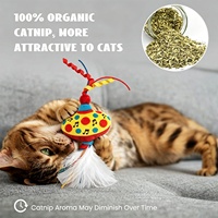 AFP Jouet rétro en peluche douce pour chat, anti-anxiété, avec herbe à chat et papier sonore, ensemble de jouets interactifs pour la poursuite des chats, pour l'exercice quotidien