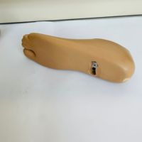 Prothèse du pied, membre artificiel, double axe, pied, prothèse dynamique, pieds