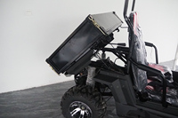 UTV de grande taille 200cc EFI, UTV sportif 2 places, UTV à essence 200cc avec certificat CE