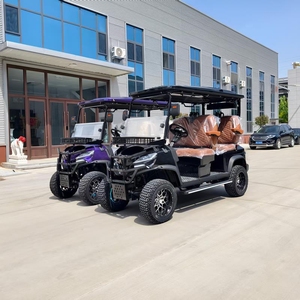 Voiture de golf de luxe 4 places, nouvelle conception, avec contrôleur intelligent et programmable pour moteur AC, à vendre - Product Image 1