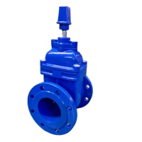Vanne à vanne d'eau souterraine DN500-DN1200 en fonte Cale à tige non montante Cale en fonte ductile Étanchéité souple Manuel à bride