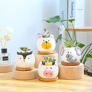 Maceta de cerámica carnosa de animales de dibujos animados de combinación creativa moderna, Mini maceta pequeña para jardín de casa especial transfronteriza - Product Image 1
