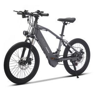 Faro LED de 20 pulgadas y 250W con batería oculta, 7 velocidades, potente motor trasero de buje de 20 250W para - Product Image 3