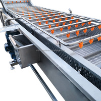 Plantaardige Resten Reinigingsmachine Wortelgroenten Fruit Bubbel Reinigingsmachine Aardbei Wassen Verwerkingslijn