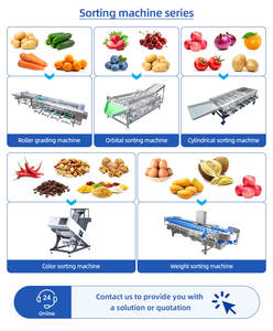 Máquina Clasificadora Automática para Limones, Naranjas, Tomates, Aguacates, Plátanos, Arándanos y Tomates Cherry, Máquina de Secado y Clasificación para Limones - Product Image 2