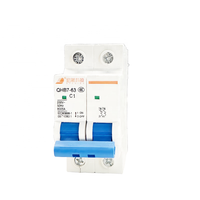 Disjoncteur miniature QIHANG C Curve 2P MCB QHB7-63 C1 230V 50Hz 6KA en plastique, 10000 cycles, montage sur rail, pour boîtier de distribution