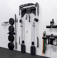 Appareil de musculation mural pliable avec câble, double pile de poids, pour entraînement complet du corps à domicile