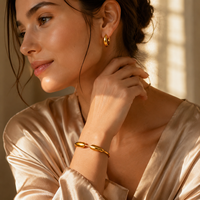 Boucles d'oreilles créoles bohèmes dorées et argentées en acier inoxydable, épaisses, style Huggie, bijoux de mode pour femmes
