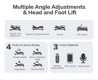 Base de lit intelligente réglable Dreamotion OEM ODM avec contrôle séparé pour la tête et les pieds, taille King et Queen, pour seniors