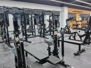 800sqm Gym Complete Bodybuilding Equipment Commercial Strength and <b>Cardio</b> <b>Training</b> Machine for Hotel Club Fitness GYM - Product Image 6